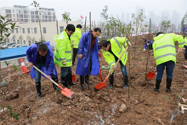 澳门2024免费原料网